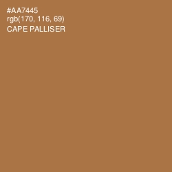 #AA7445 - Cape Palliser Color Image